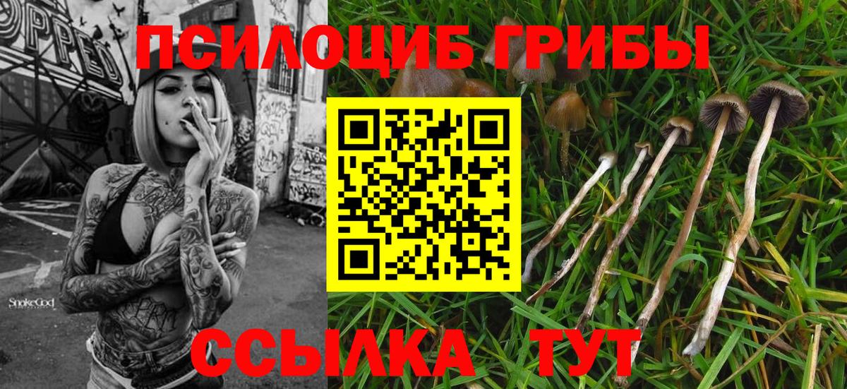 Лабинск  Псилоцибиновые грибы Cubensis  Галлюциногенные грибы прущие грибы  Вход с VPN 