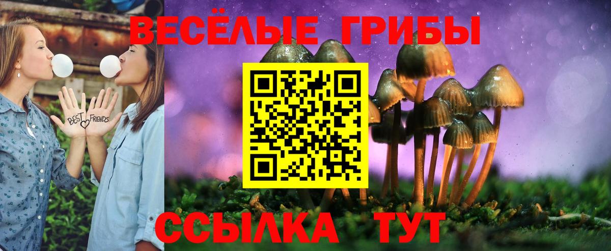 Псилоцибиновые грибы Magic Shrooms Лабинск